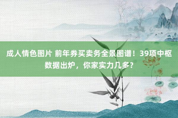 成人情色图片 前年券买卖务全景图谱！39项中枢数据出炉，你家实力几多？