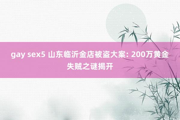 gay sex5 山东临沂金店被盗大案: 200万黄金失贼之谜揭开