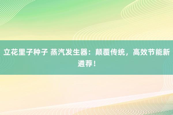 立花里子种子 蒸汽发生器：颠覆传统，高效节能新遴荐！