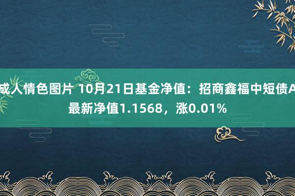 成人情色图片 10月21日基金净值：招商鑫福中短债A最新净值1.1568，涨0.01%