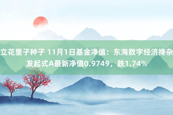 立花里子种子 11月1日基金净值：东海数字经济搀杂发起式A最新净值0.9749，跌1.74%