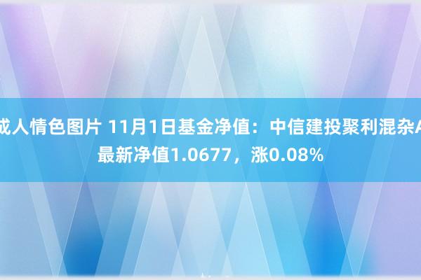 成人情色图片 11月1日基金净值：中信建投聚利混杂A最新净值1.0677，涨0.08%